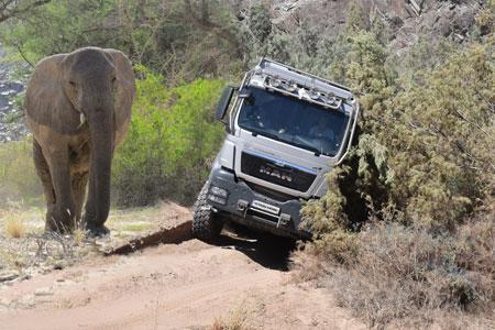 Close encounter with Namibias desert elephants